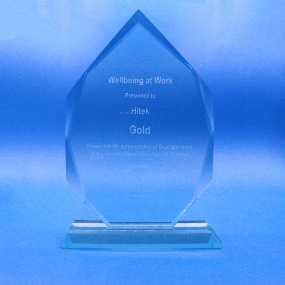 Health in the workplace trophy award